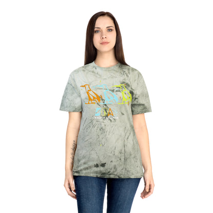 Tie-Dye Bird Graphic T-Shirt — "Birdz of a Feather"