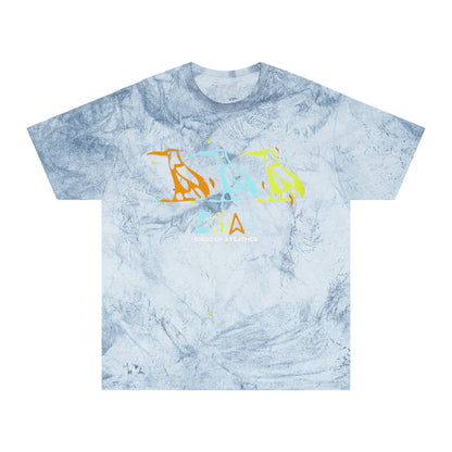 Tie-Dye Bird Graphic T-Shirt — "Birdz of a Feather"