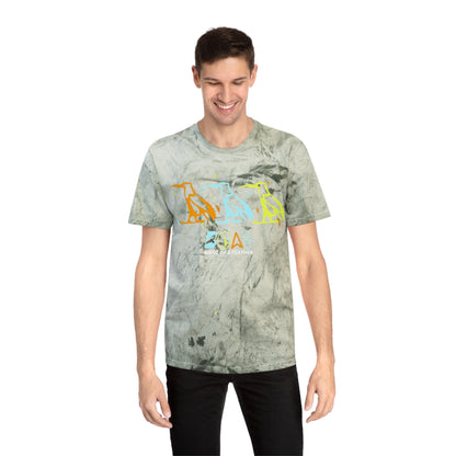Tie-Dye Bird Graphic T-Shirt — "Birdz of a Feather"