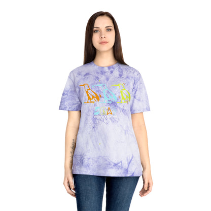 Tie-Dye Bird Graphic T-Shirt — "Birdz of a Feather"