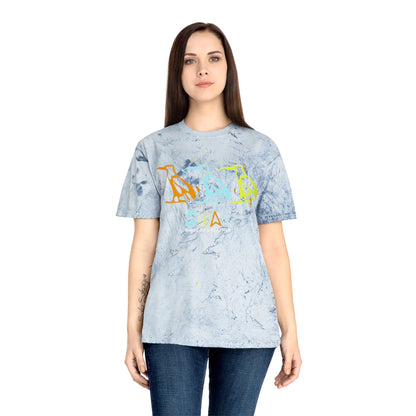 Tie-Dye Bird Graphic T-Shirt — "Birdz of a Feather"