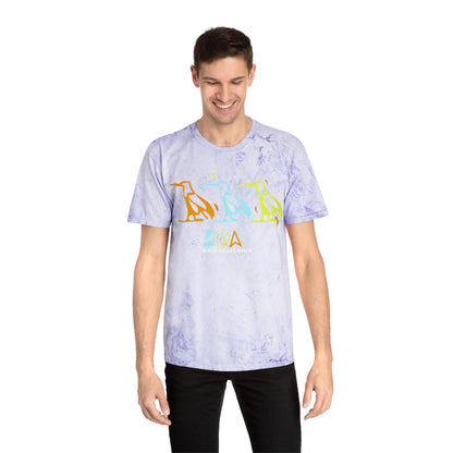 Tie-Dye Bird Graphic T-Shirt — "Birdz of a Feather"