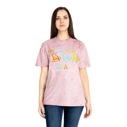 Tie-Dye Bird Graphic T-Shirt — "Birdz of a Feather"