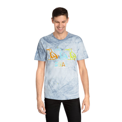 Tie-Dye Bird Graphic T-Shirt — "Birdz of a Feather"