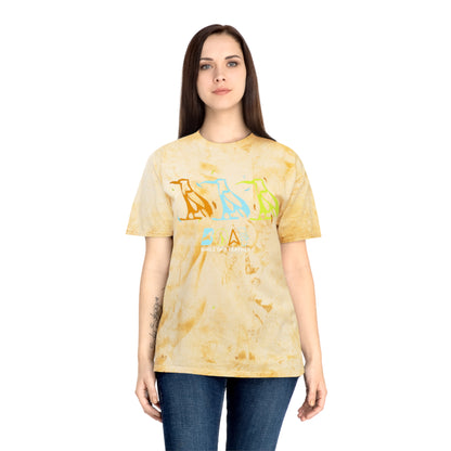 Tie-Dye Bird Graphic T-Shirt — "Birdz of a Feather"